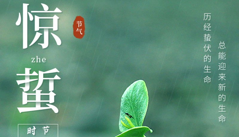 惊蛰春雷动，万物焕新时 | 邦正与您共启新程